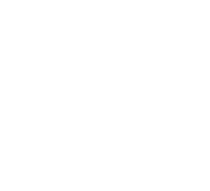 FabNinjas Logo
